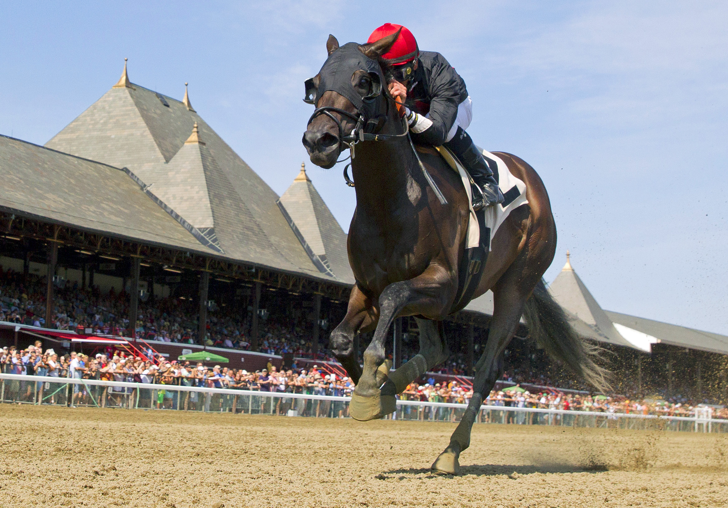 Ingrid wins a maiden race