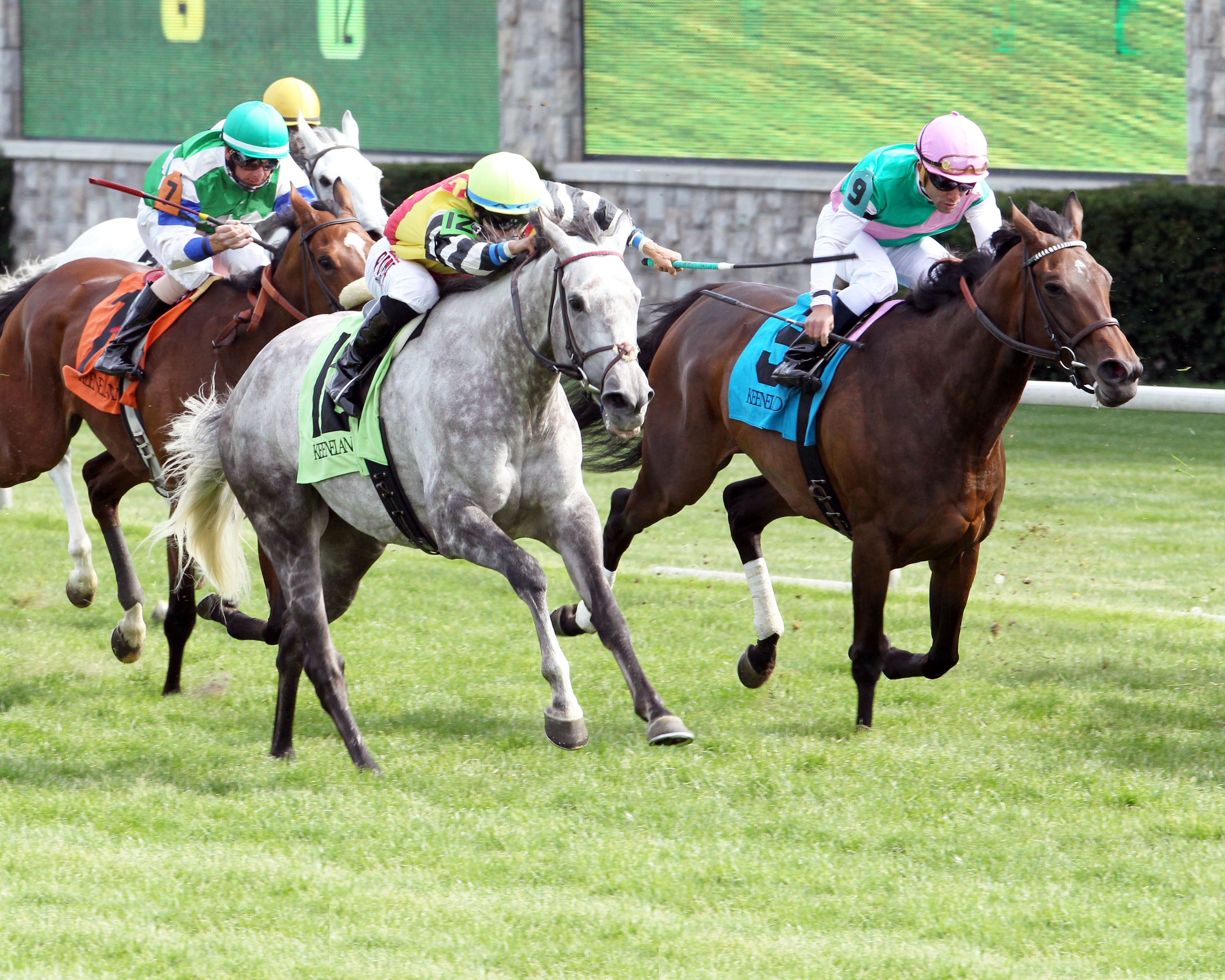 Inimitable Romanee wins the Bewitch