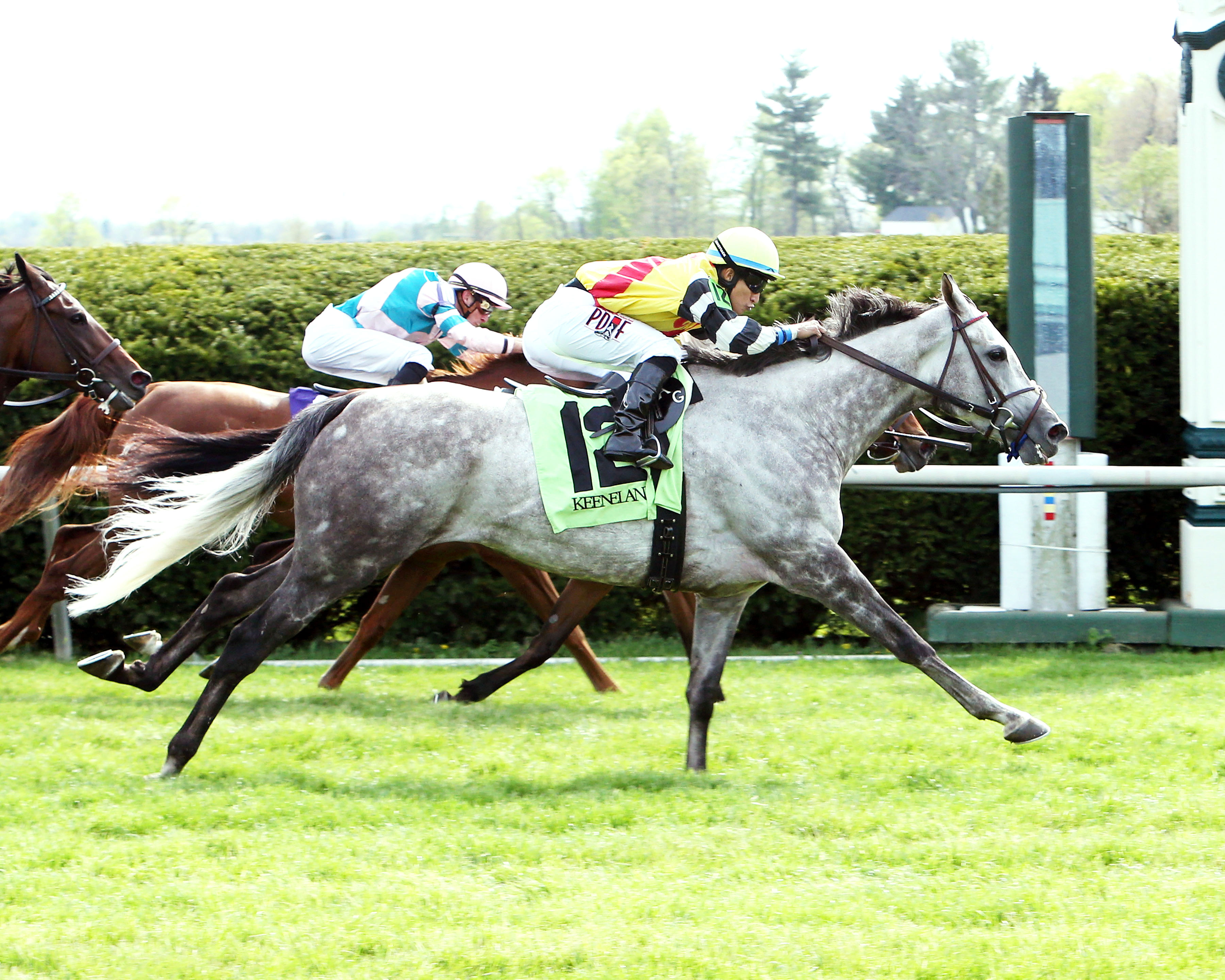 Inimitable Romanee wins the Bewitch