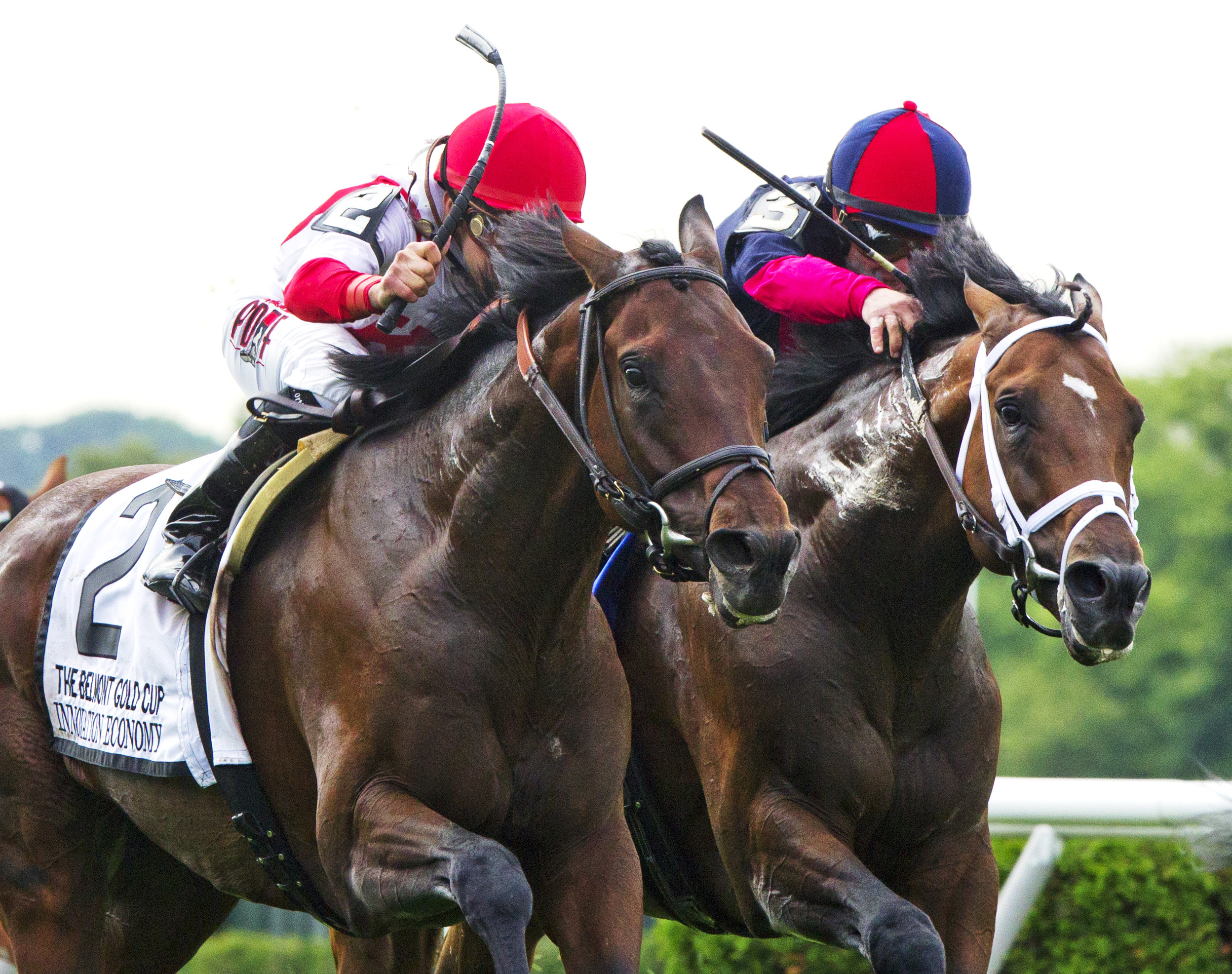 Innovation Economy wins the Belmont Gold Cup