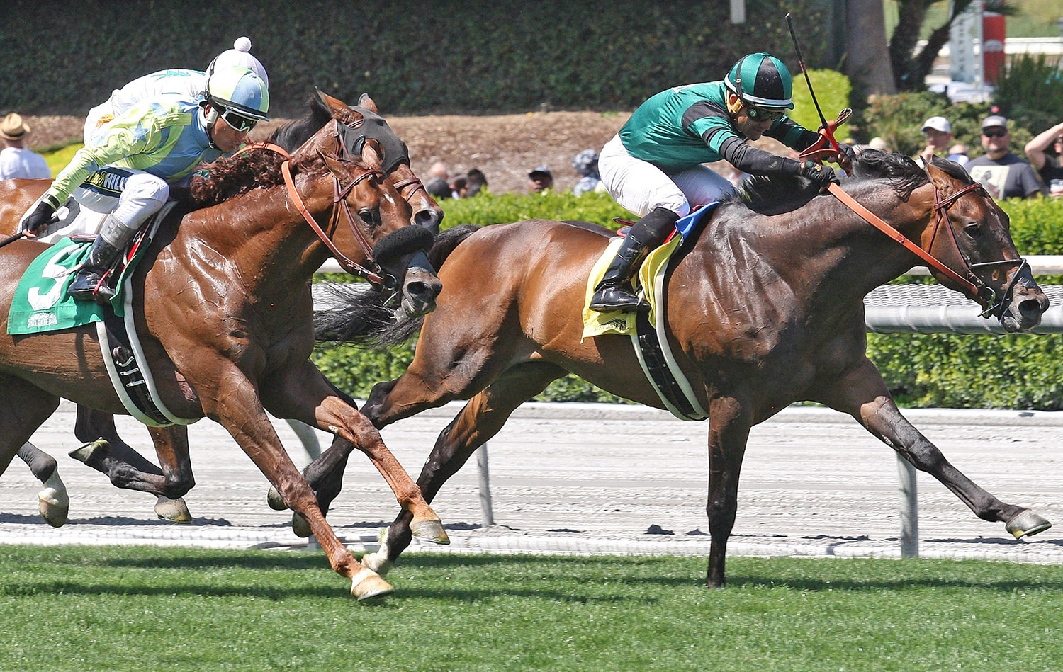 Syntax finishes second in the 2017 San Juan Capistrano