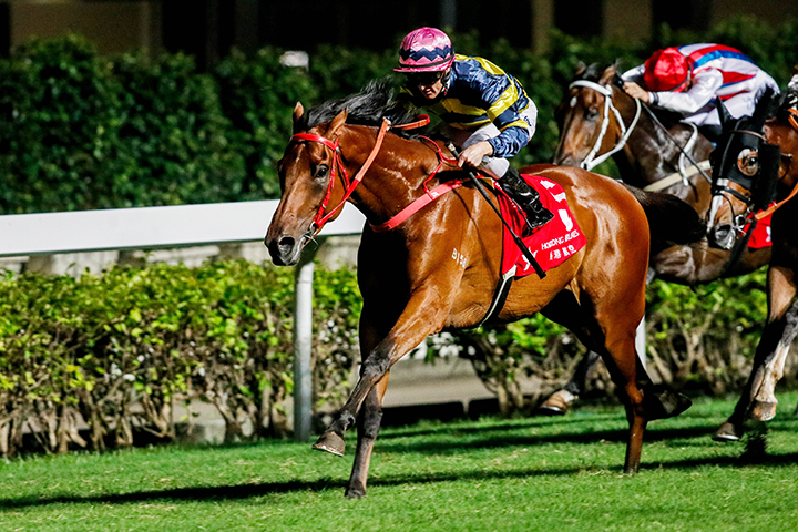 Insayshable wins the 2018 Kwoon Chung Bus Cup at Happy Valley Racecourse