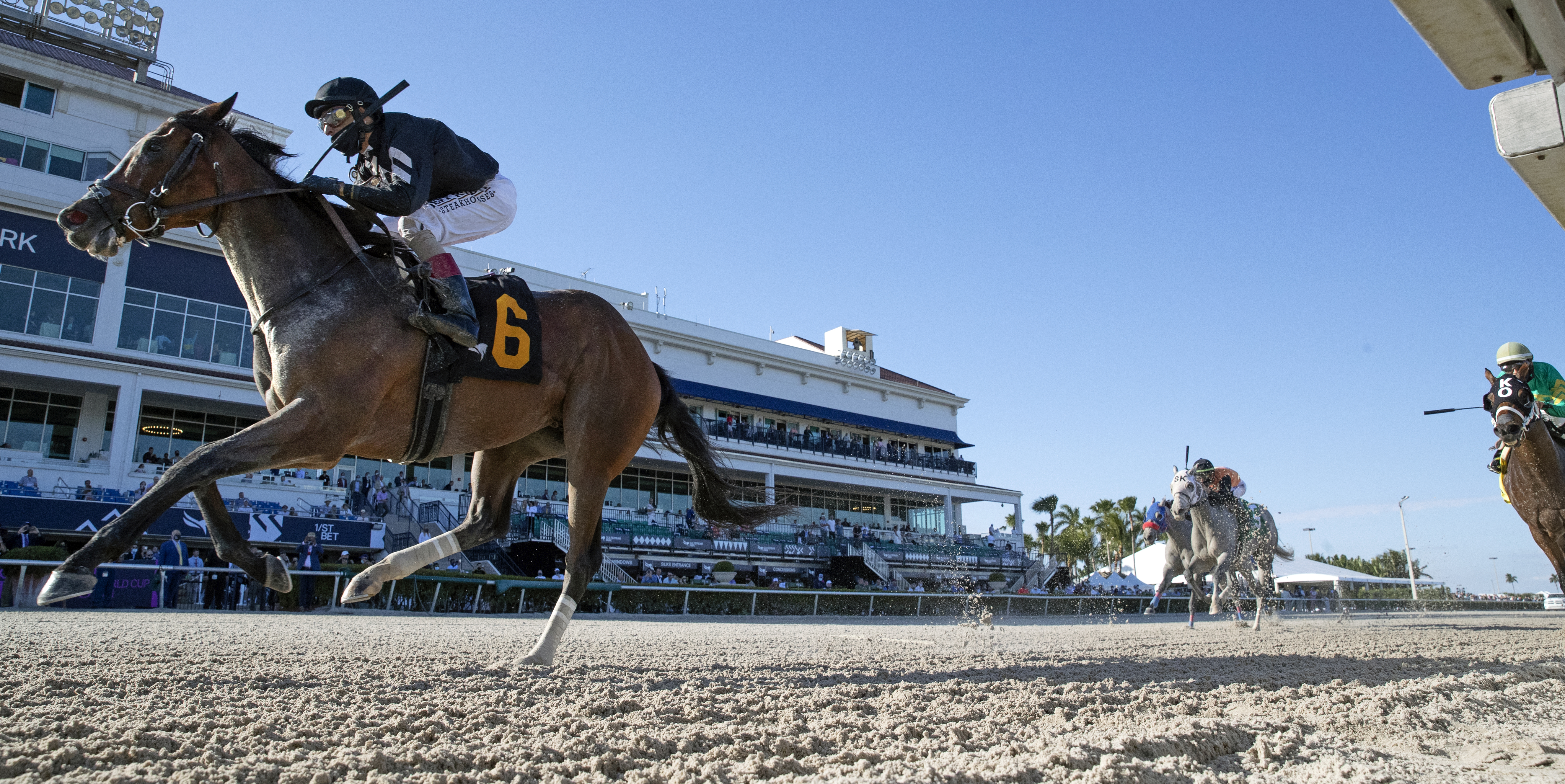 Pacific Gale wins Inside Information 1-23-2021