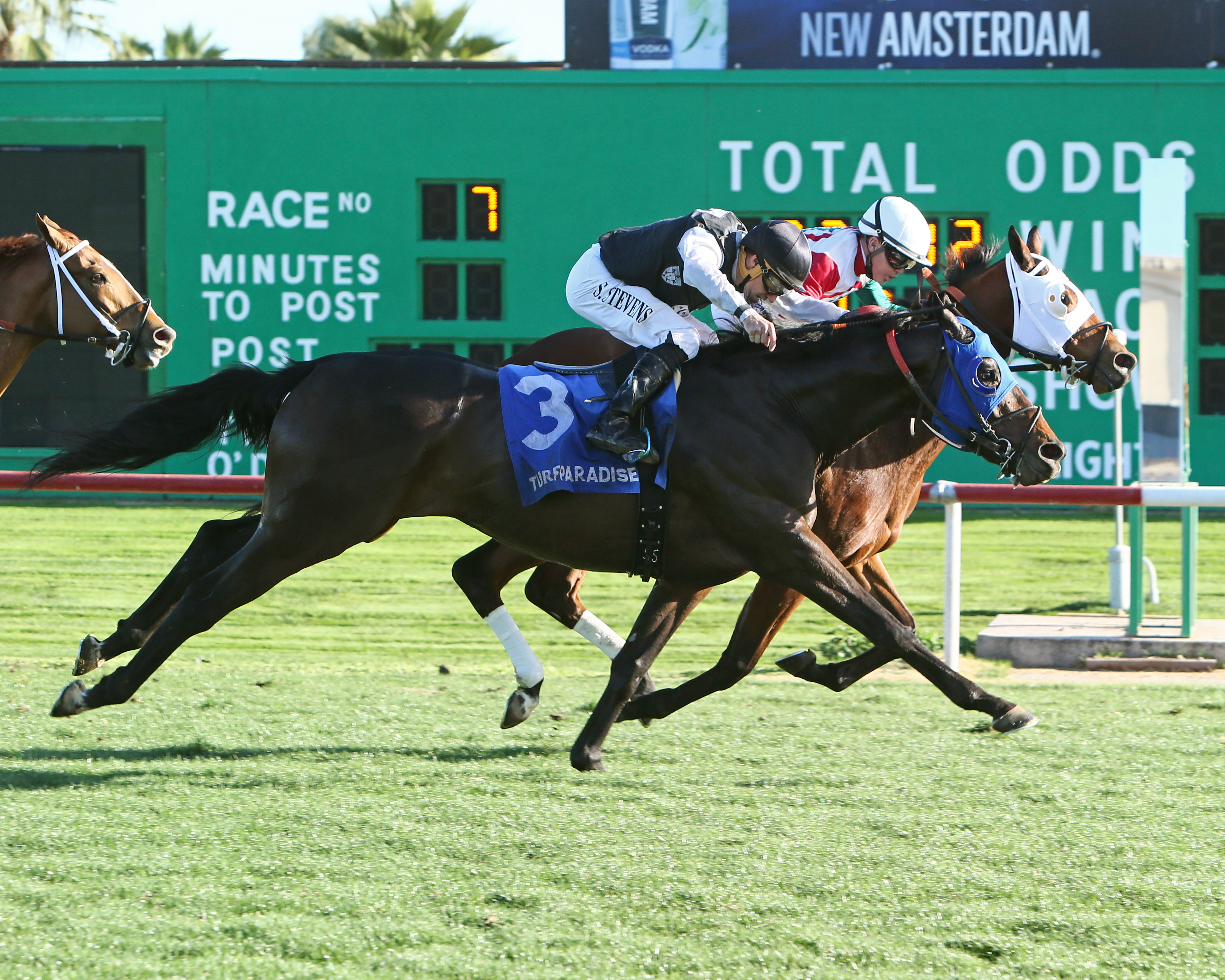High Security finishes second in the 2018 Cotton Fitzsimmons Mile Handicap