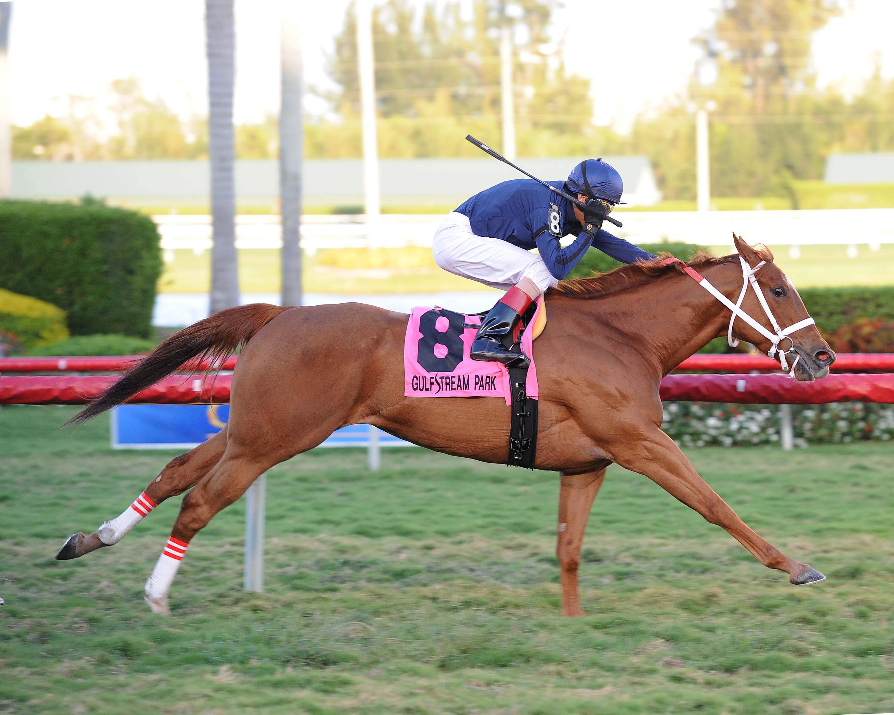 Inspired/Ladies Turf Sprint
