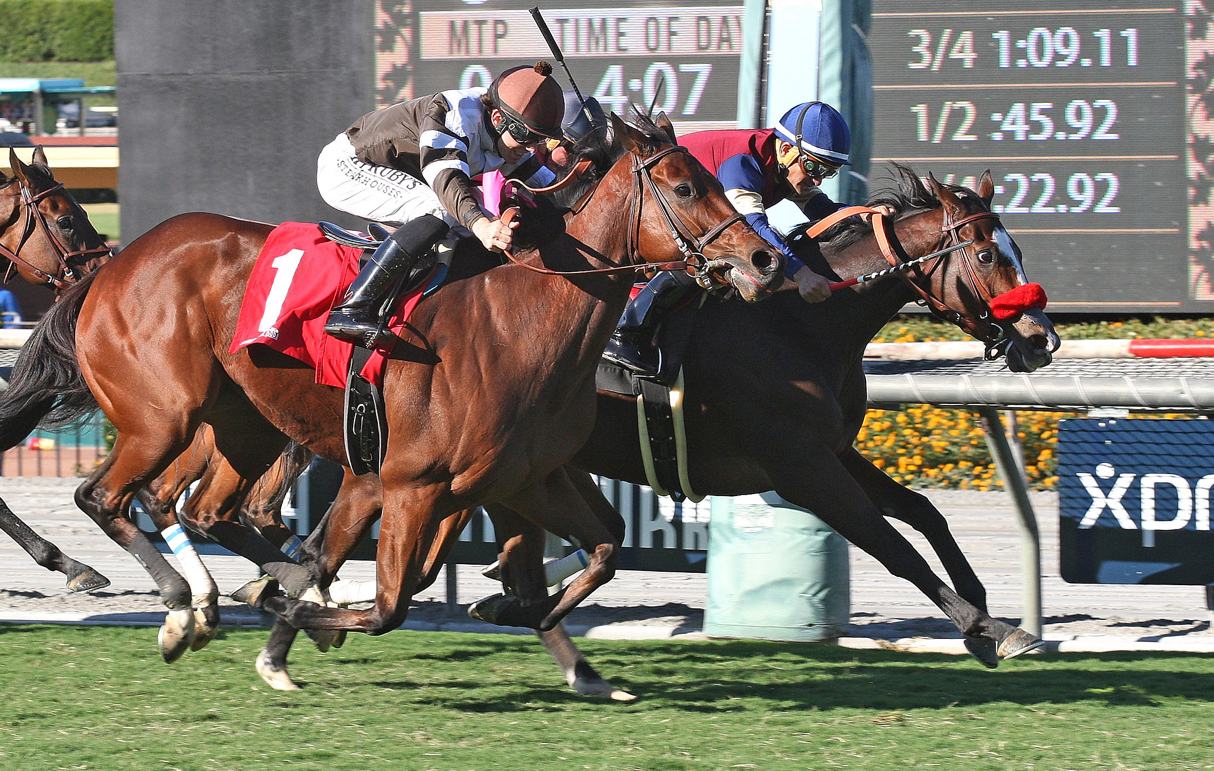 Insta Erma wins the 2017 Swingtime Stakes