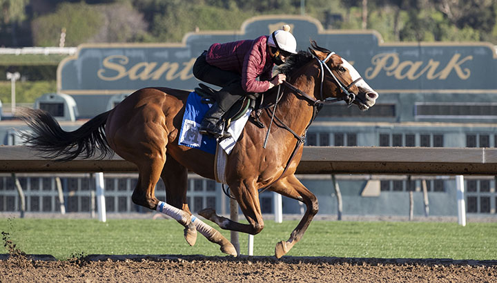 Instagrand trains at Santa Anita on Feb. 8