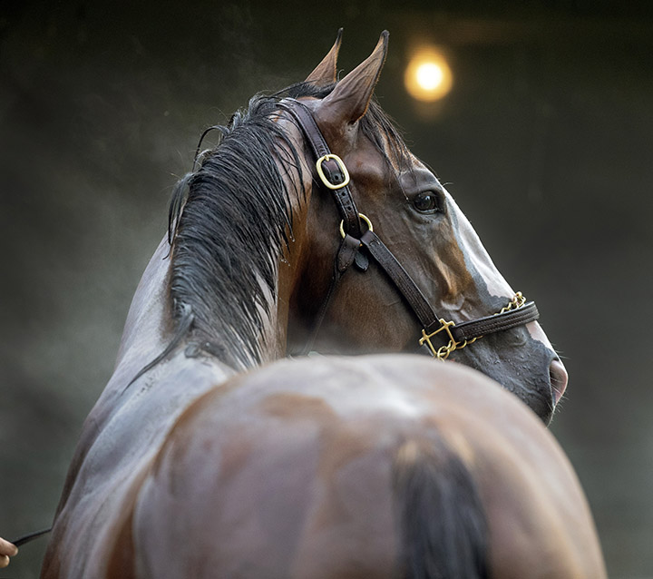 Instagrand at Churchill on April 30