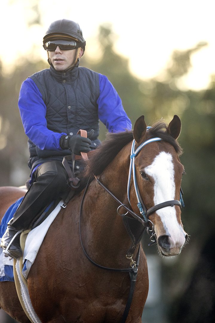 Instagrand at Santa Anita Park on Dec. 9