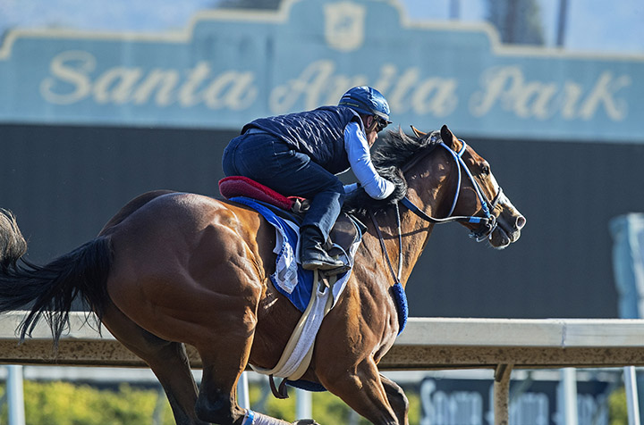 Instagrand trains at Santa Anita on Feb. 25