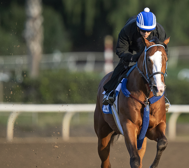 Instagrand trains at Santa Anita on March 4