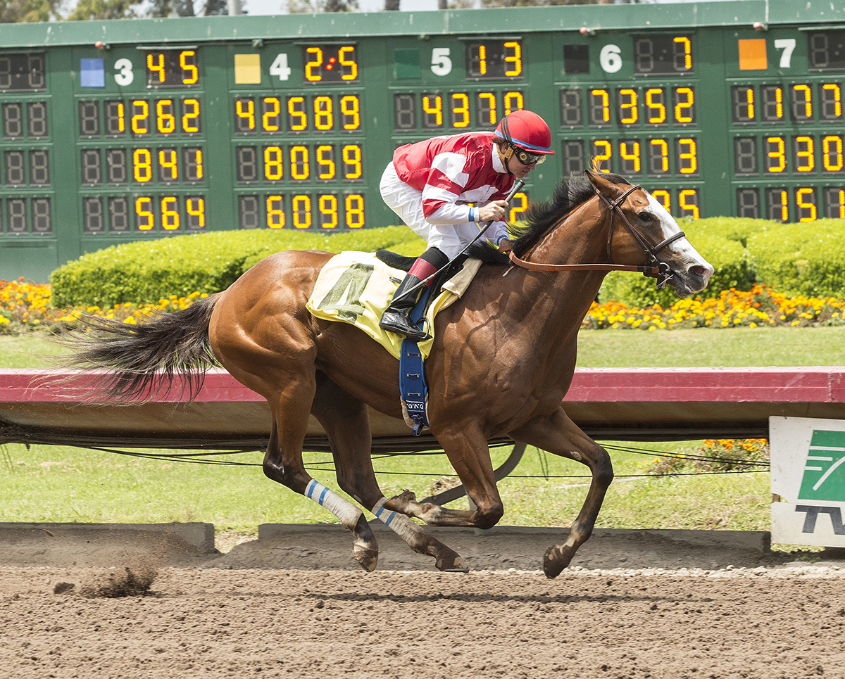 Instagrand wins a June 29 maiden race