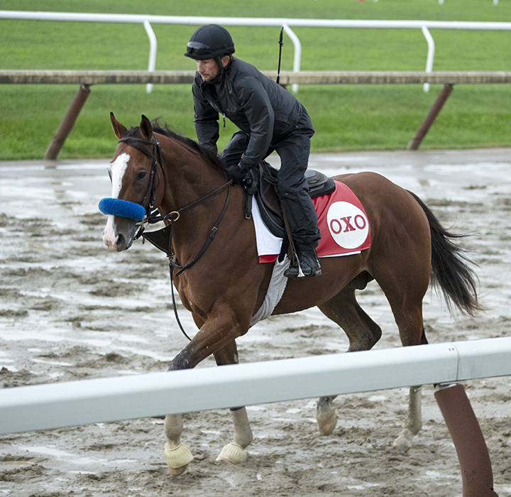 Instagrand trains at Saratoga Race Course on July 23
