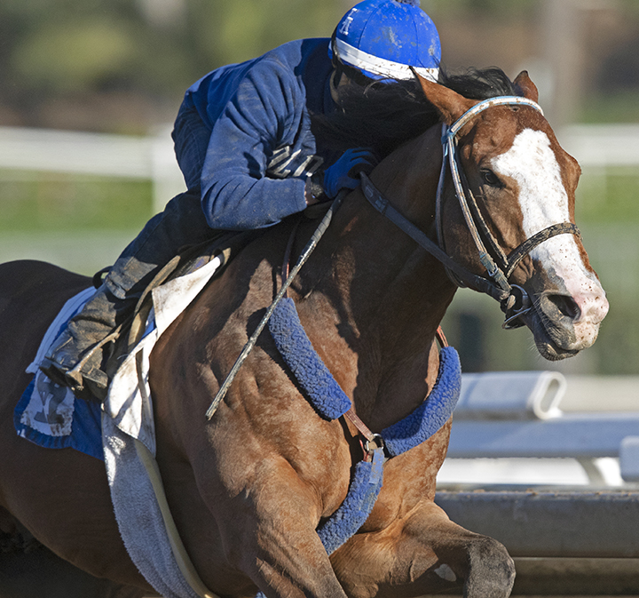 Instagrand trains at Santa Anita on Feb. 17