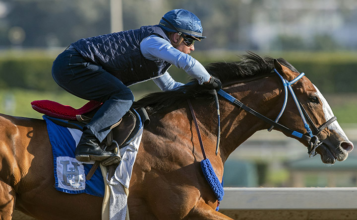 Instagrand trains at Santa Anita on Feb. 25