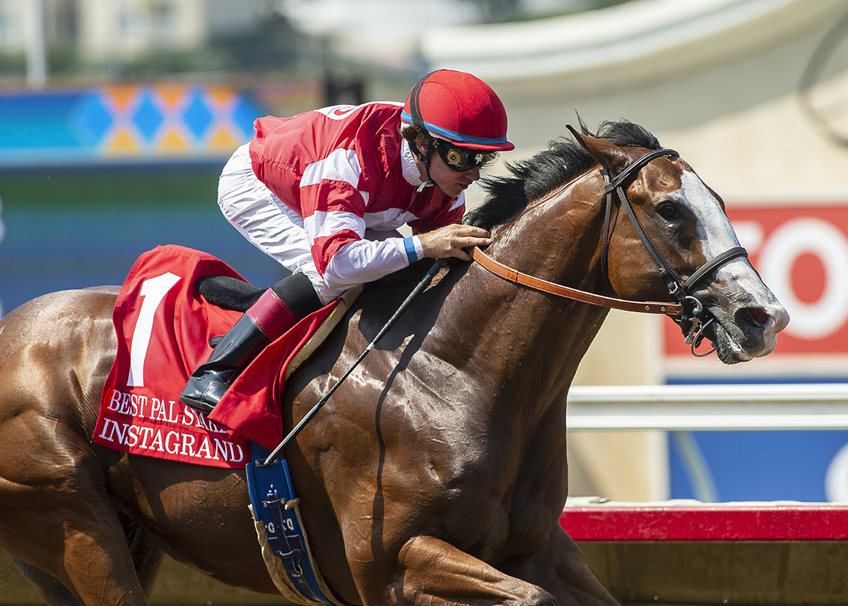 Instagrand wins the 2018 Best Pal Stakes