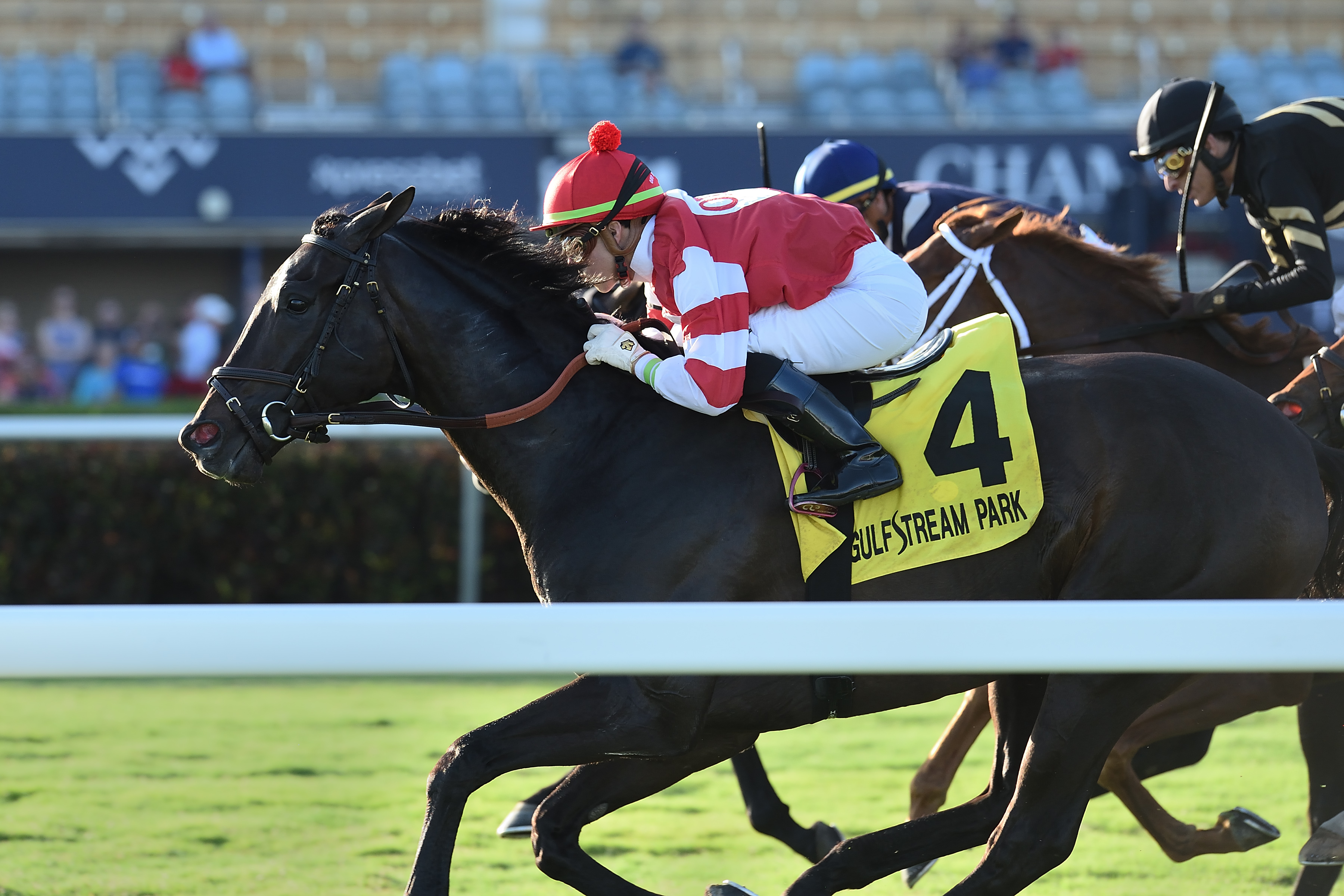 Instilled Regard wins the 2019 Fort Lauderdale Stakes