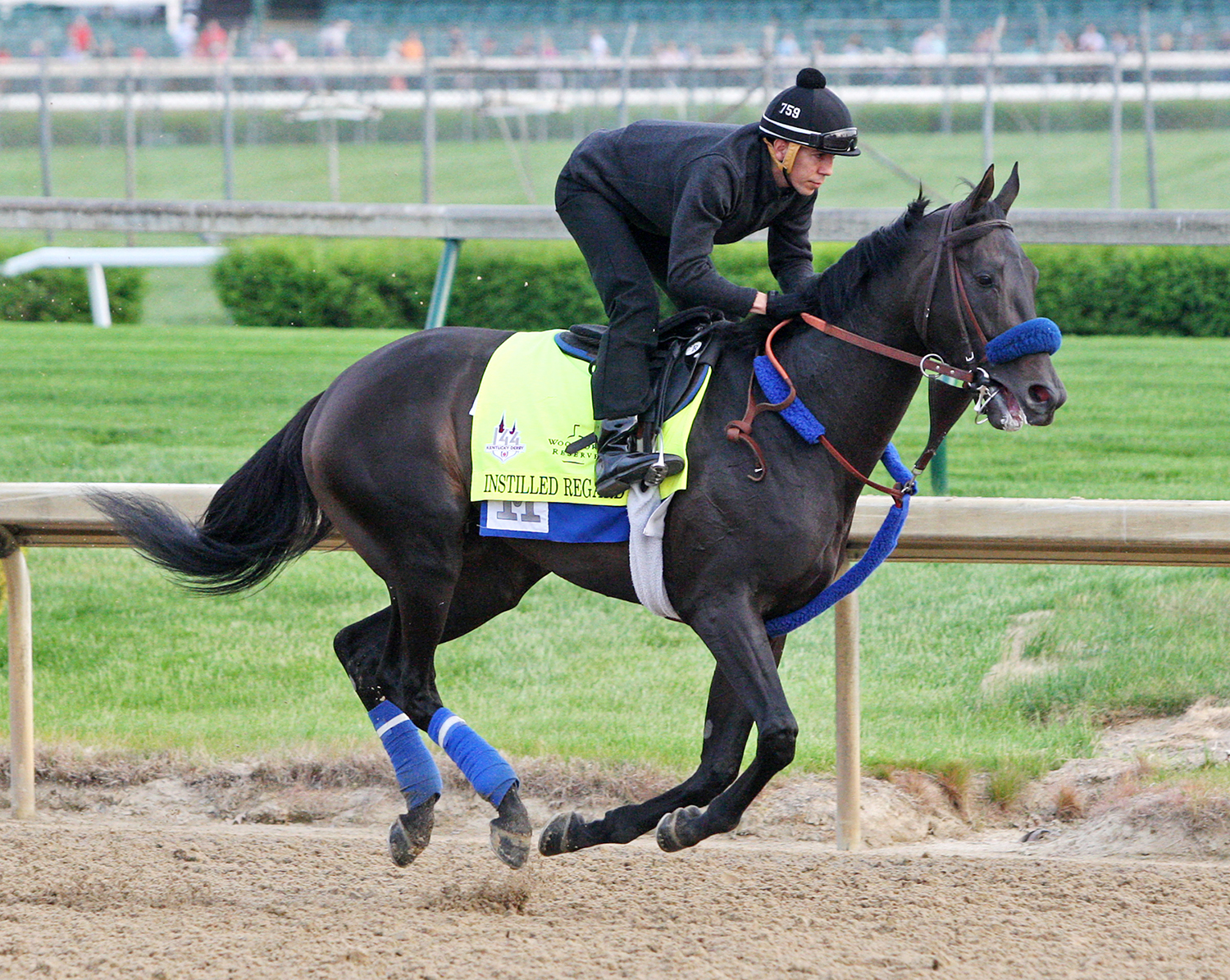 Instilled Regard trains at Churchill on May 3