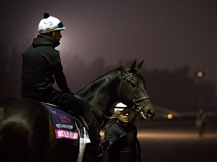 Instilled Regard at Gulfstream Park in January 2020