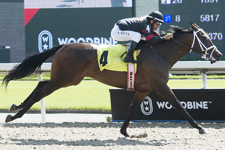 Intanga Rose wins a Sept. 14 allowance race at Woodbine
