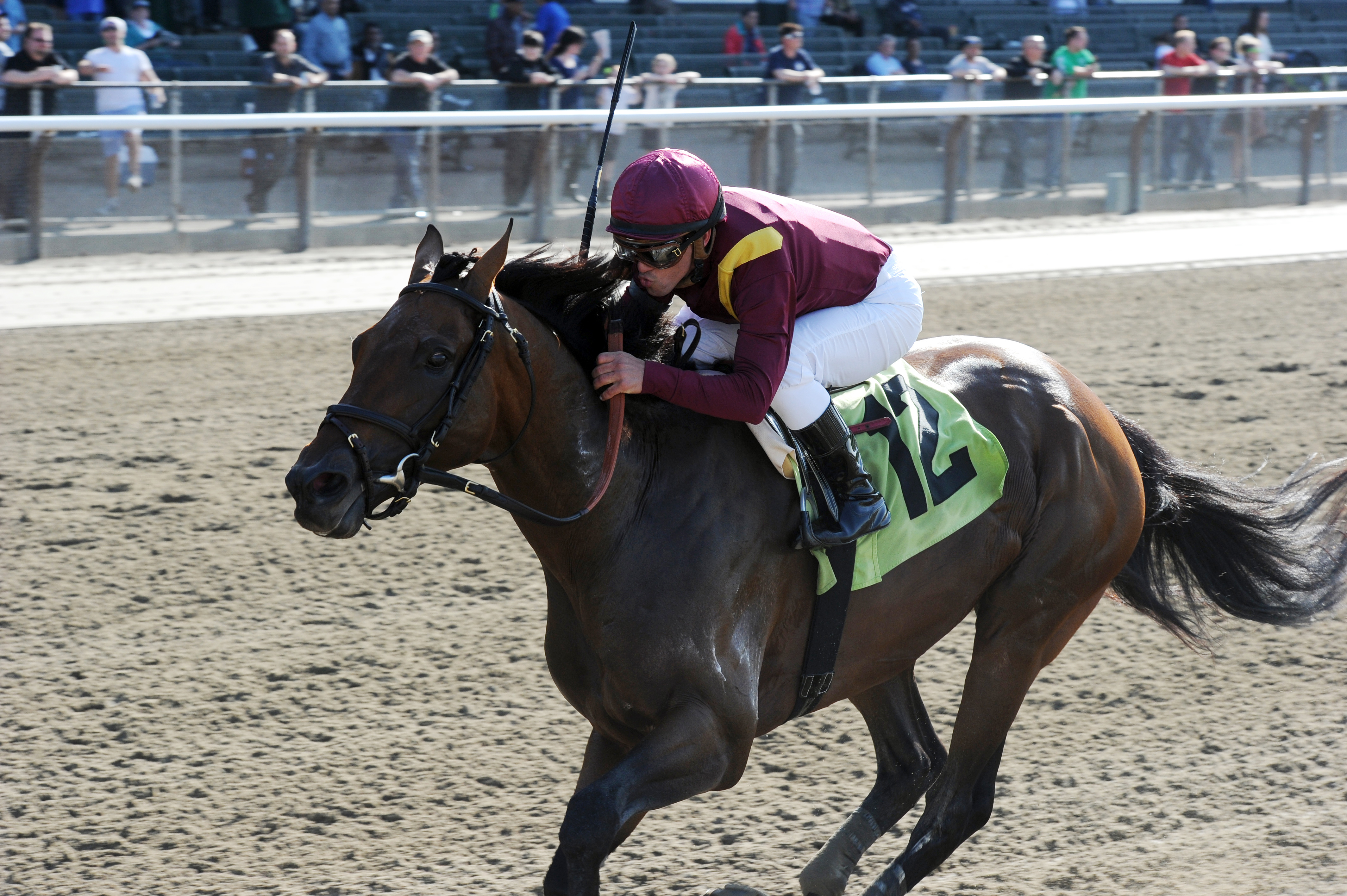 Integrity wins the Elusive Quality Stakes