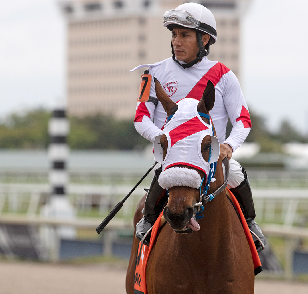 Inter Miami at Gulfstream Park in February 2020