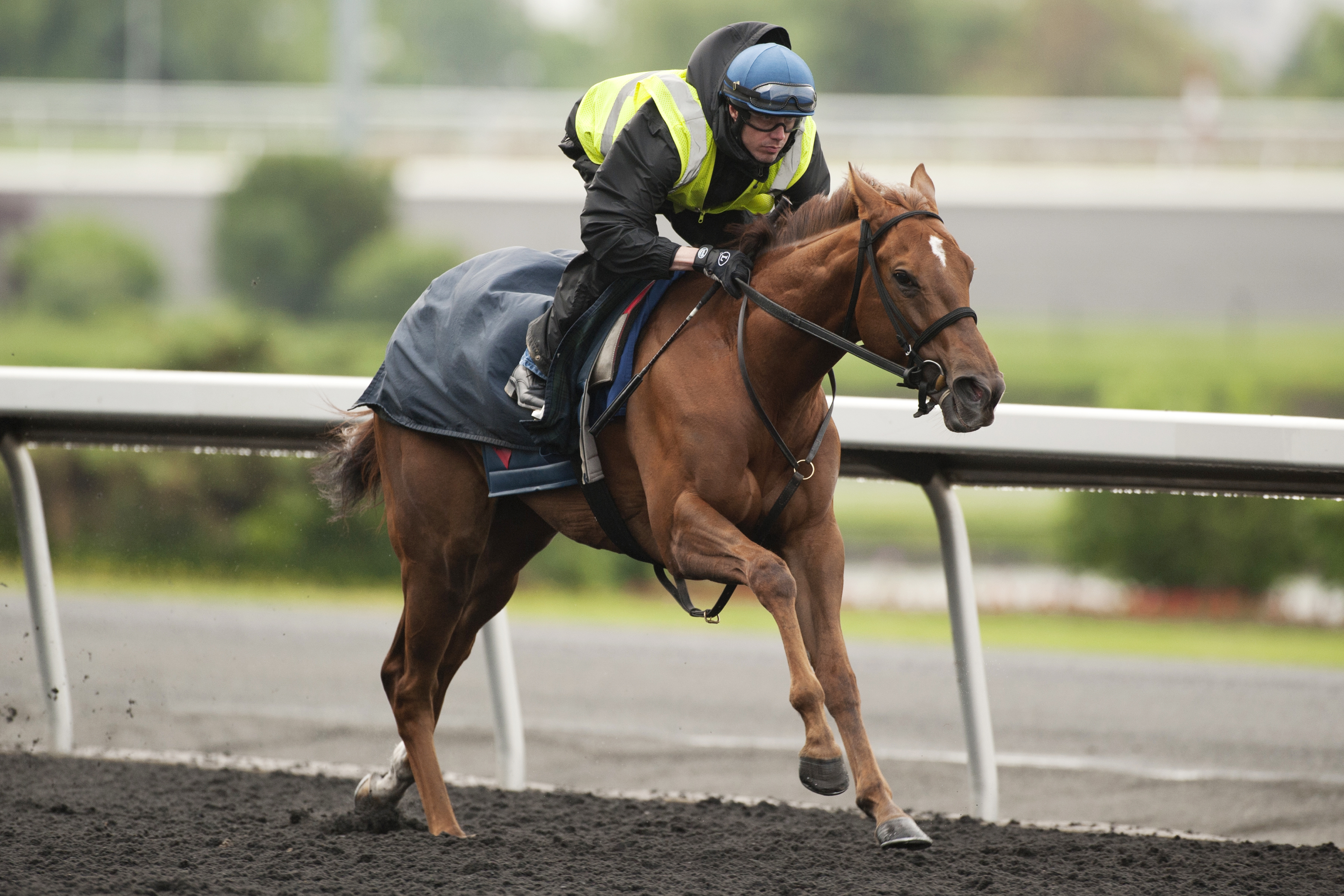 Internal Bourbon trains at Woodbine on June 12