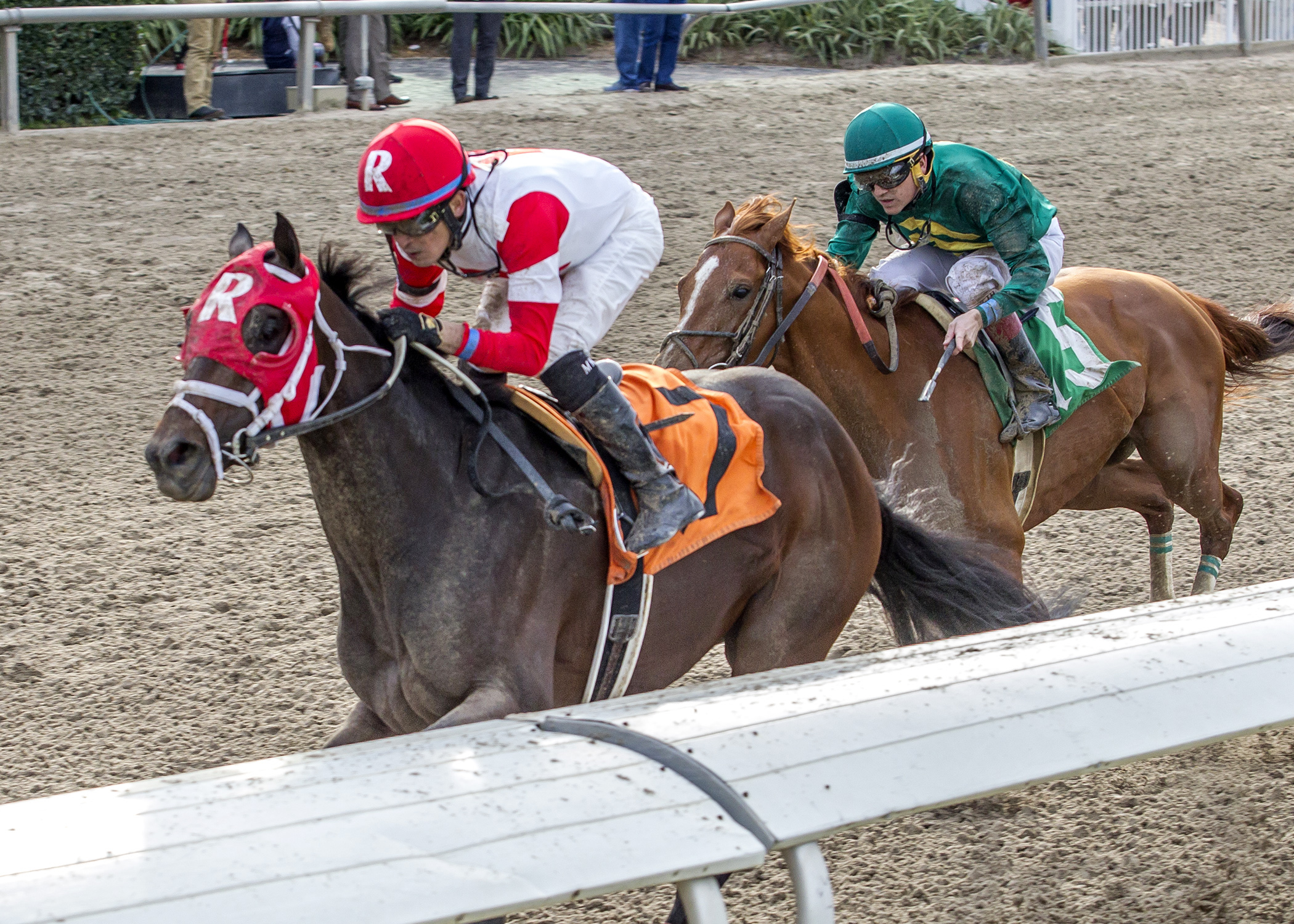 International Star wins the Louisiana Stakes