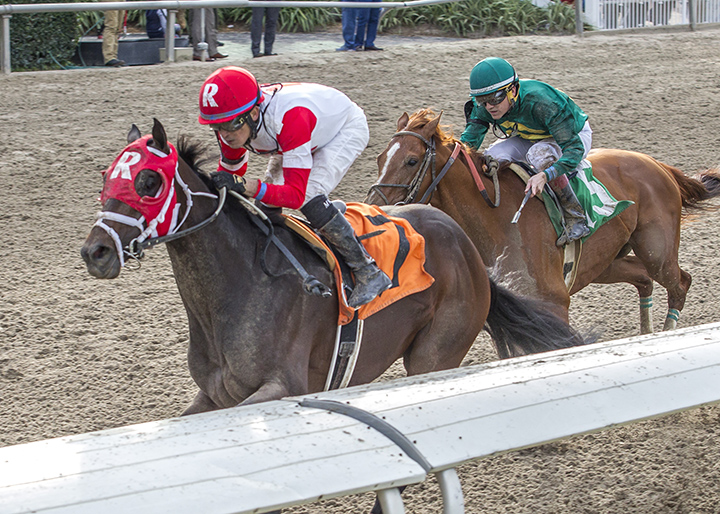 International Star wins the 2016 Louisiana Stakes