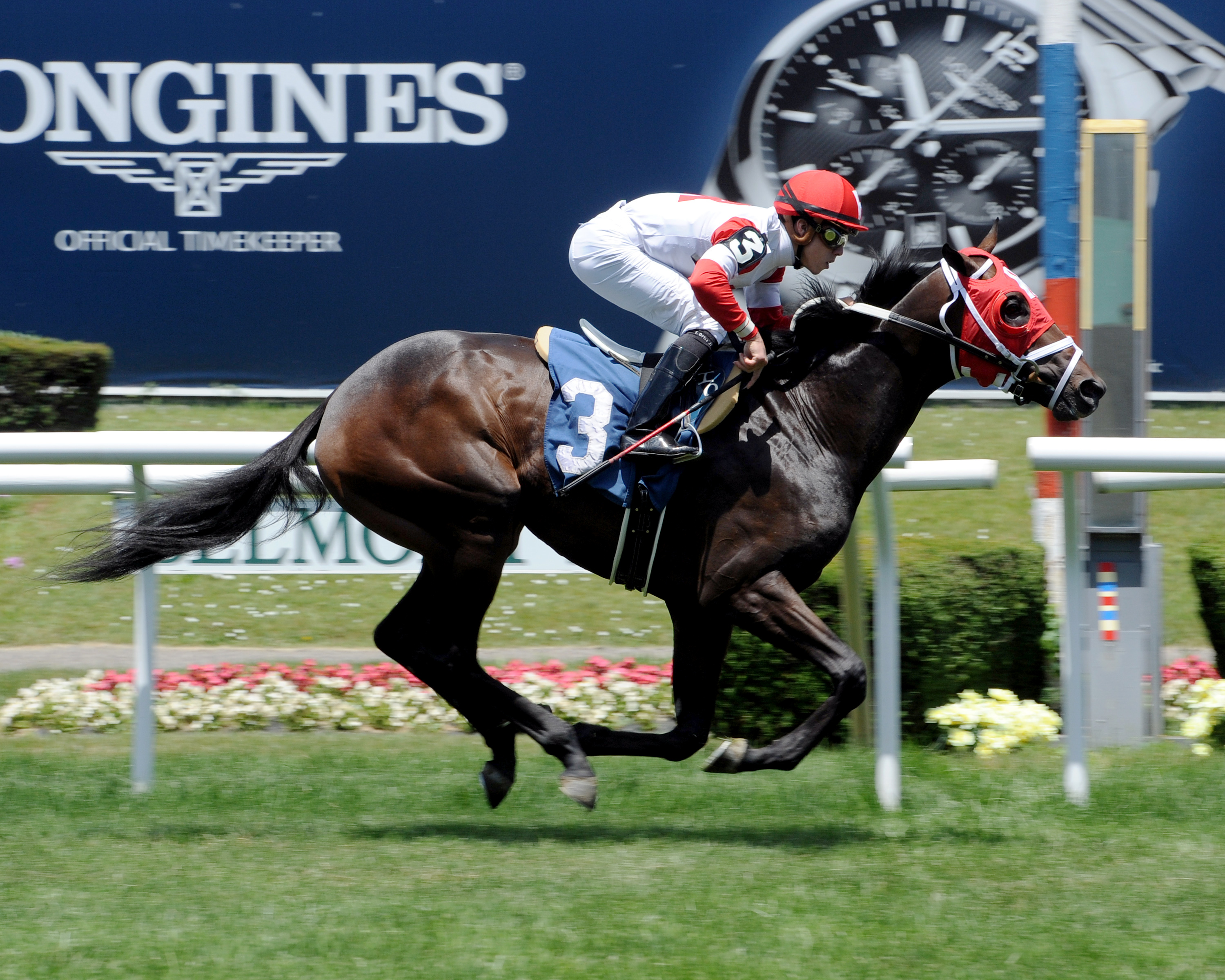 International Star wins a maiden race