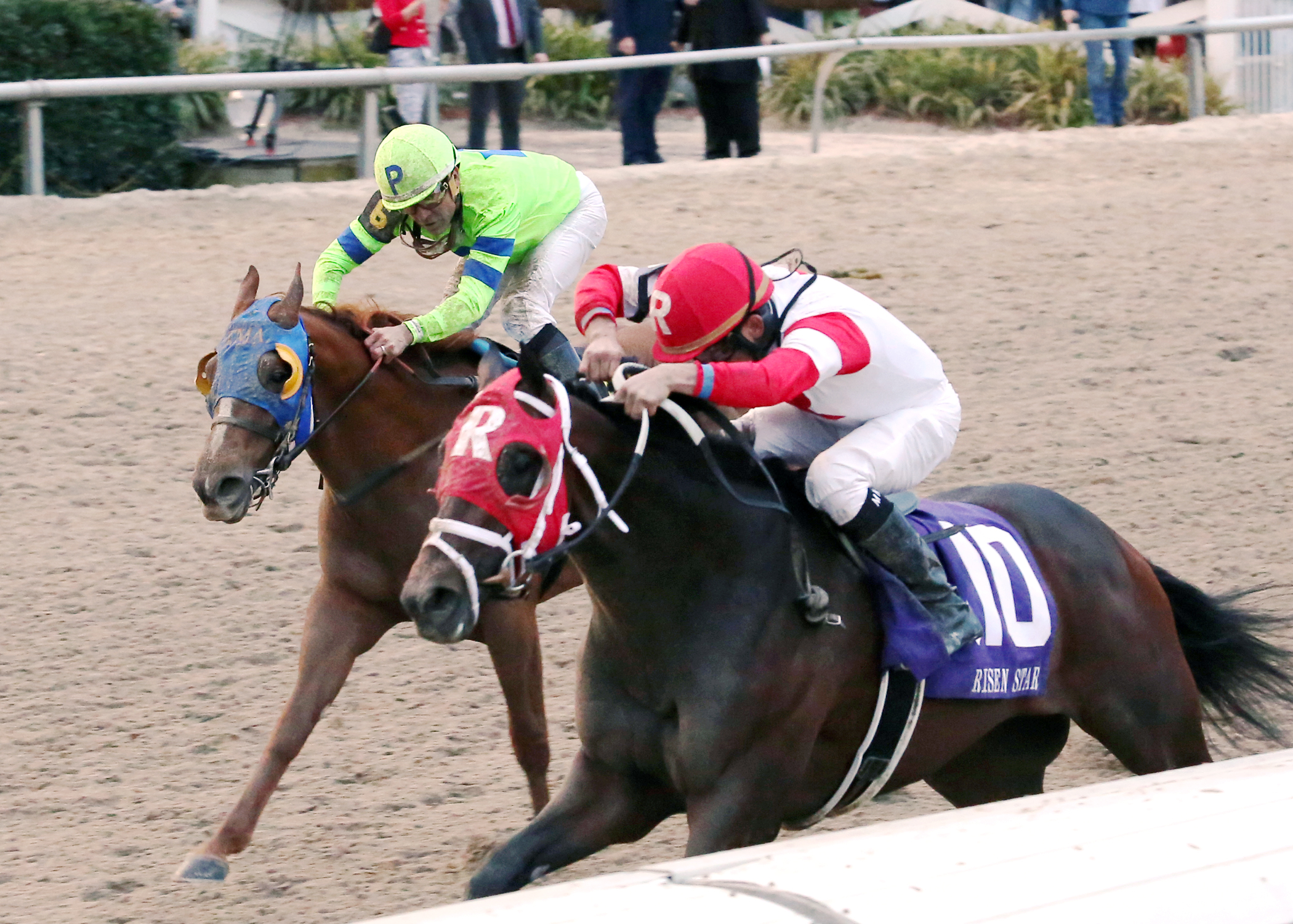 War Story finishes second to International Star in the Risen Star