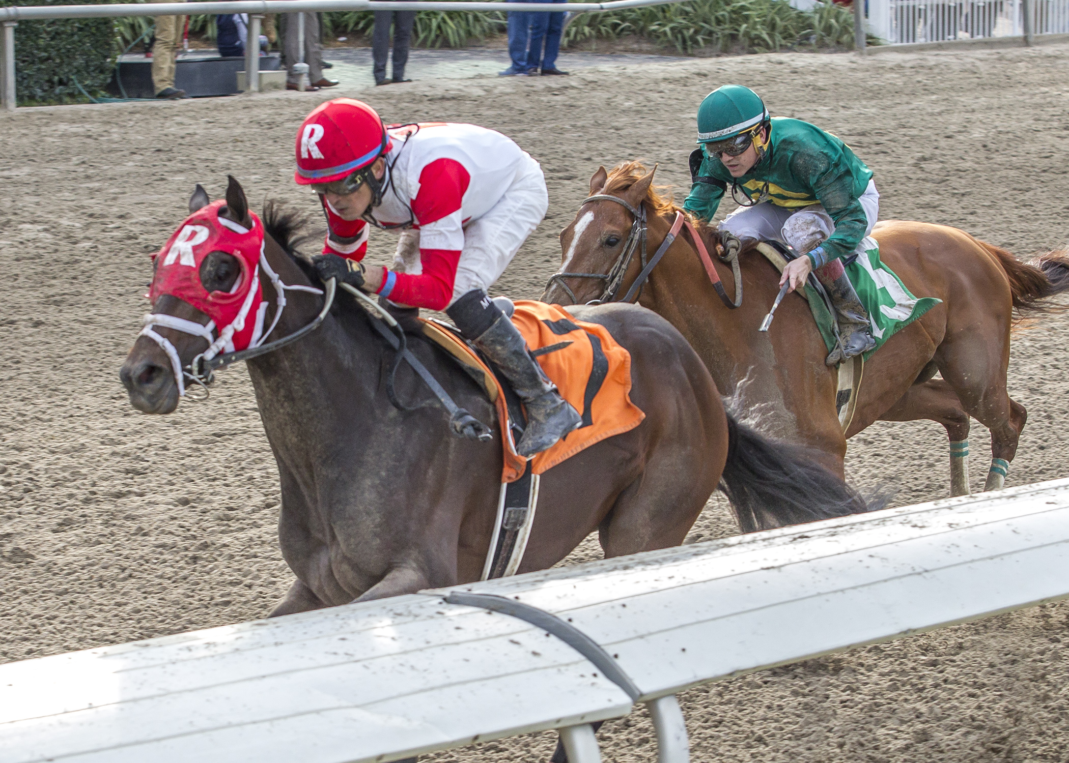 International Star wins 2016 Louisiana Stakes