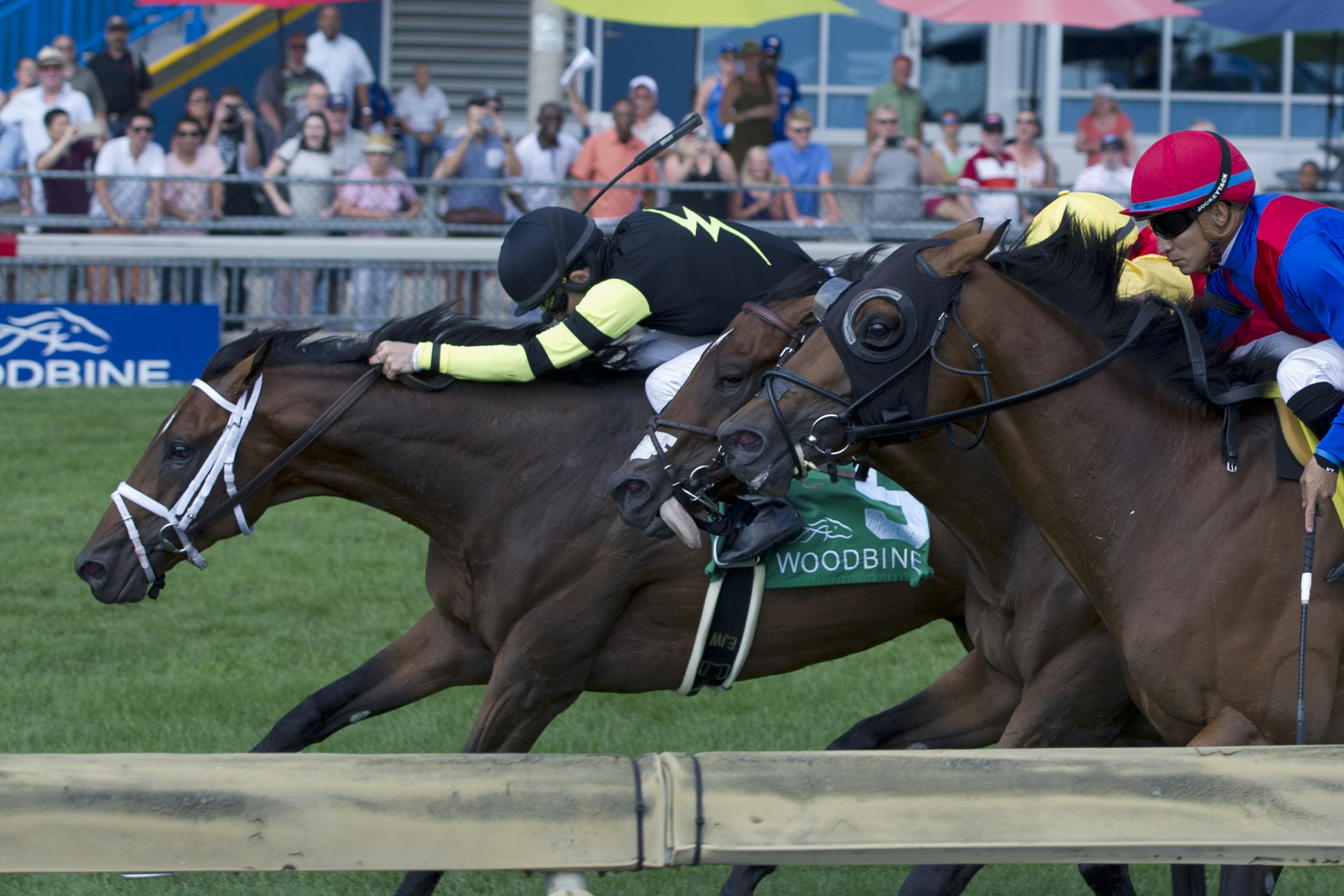 Interpol wins 2015 Sky Classic