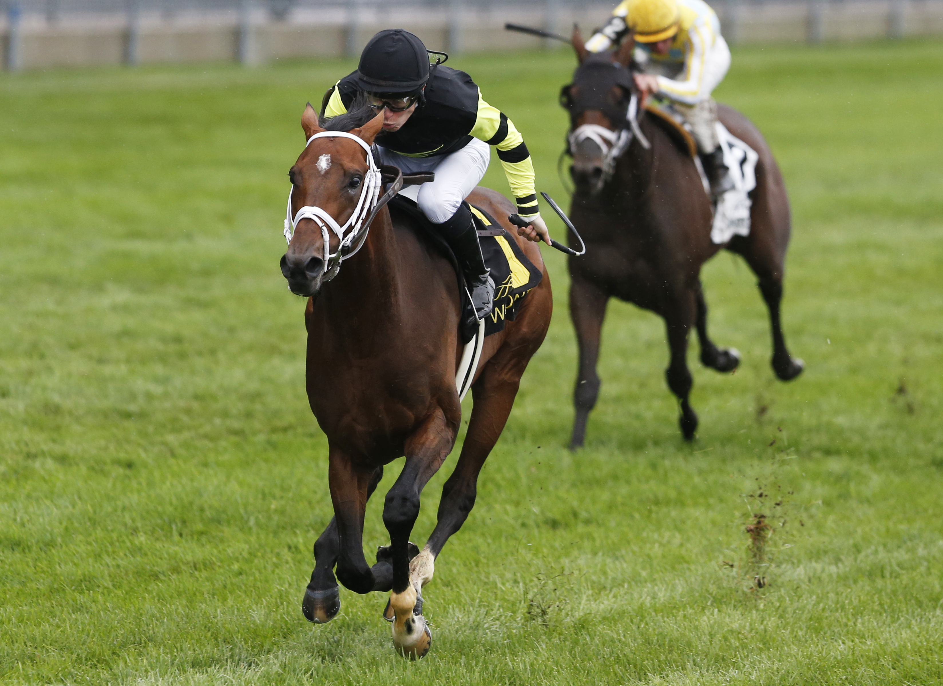 Interpol wins the Northern Dancer