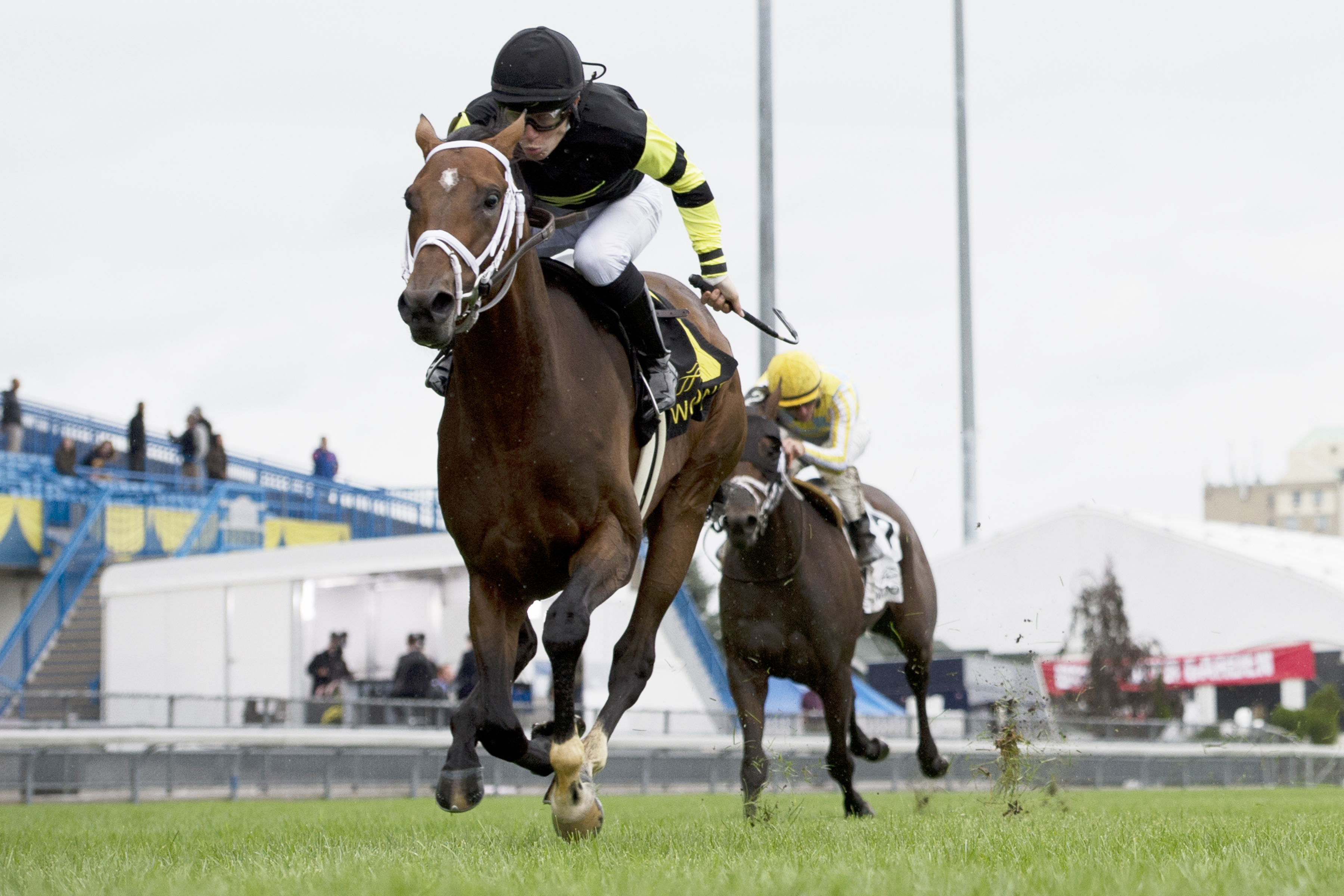 Interpol wins the Northern Dancer