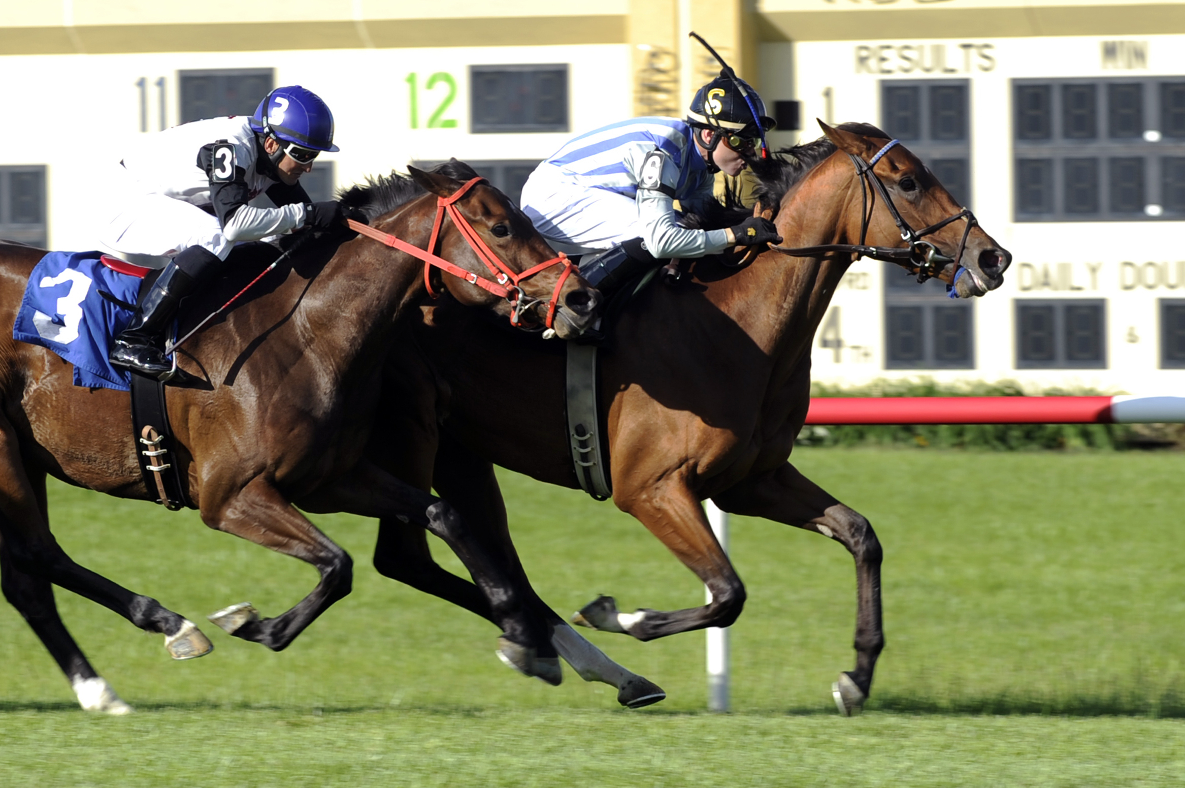 Interrupted wins the Penn Oaks