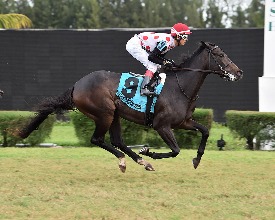 Inthewinnerscircle wins the 2020 Juvenile Fillies Turf Stakes at Gulfstream Park West