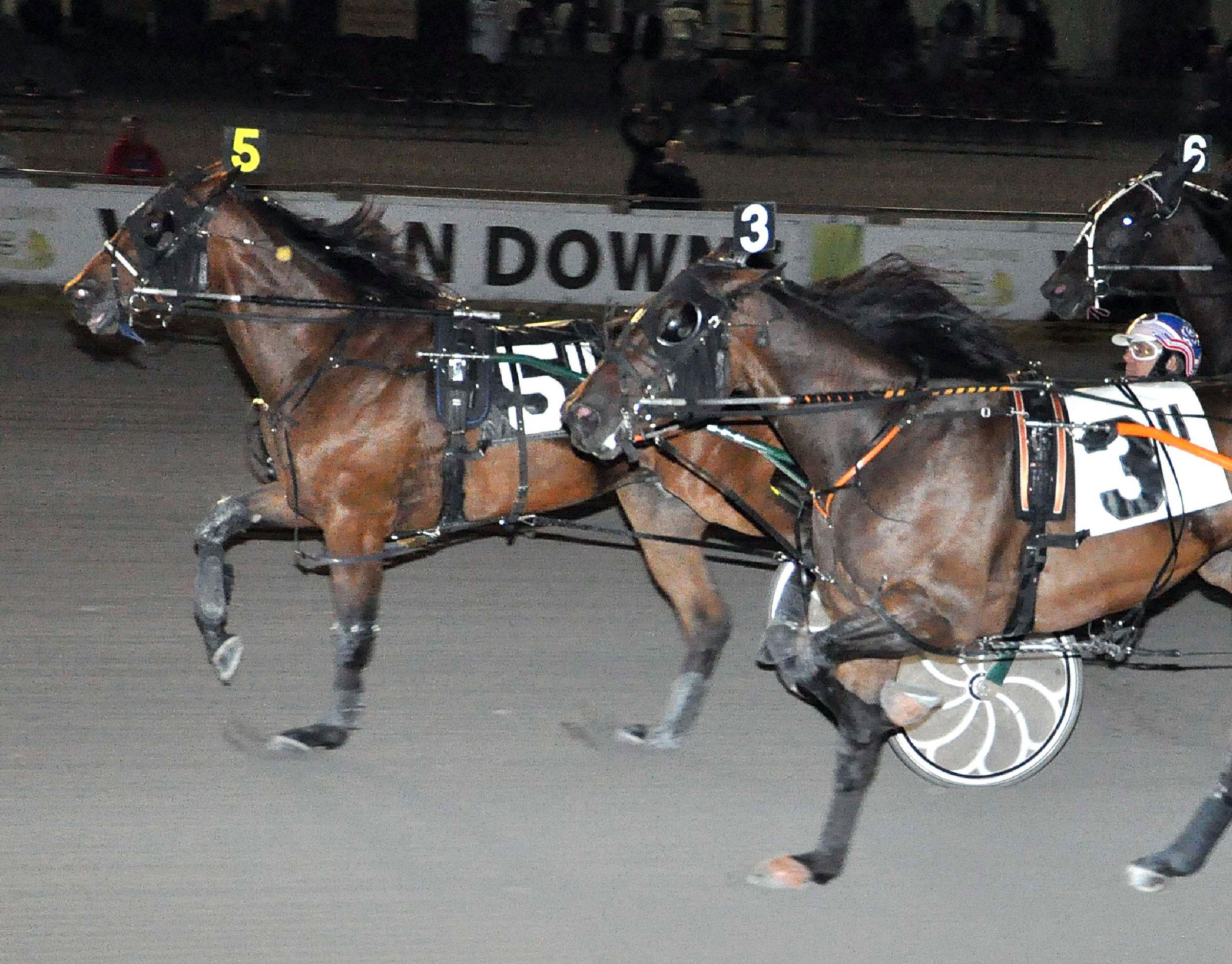 Intimidate_Credit Winner
