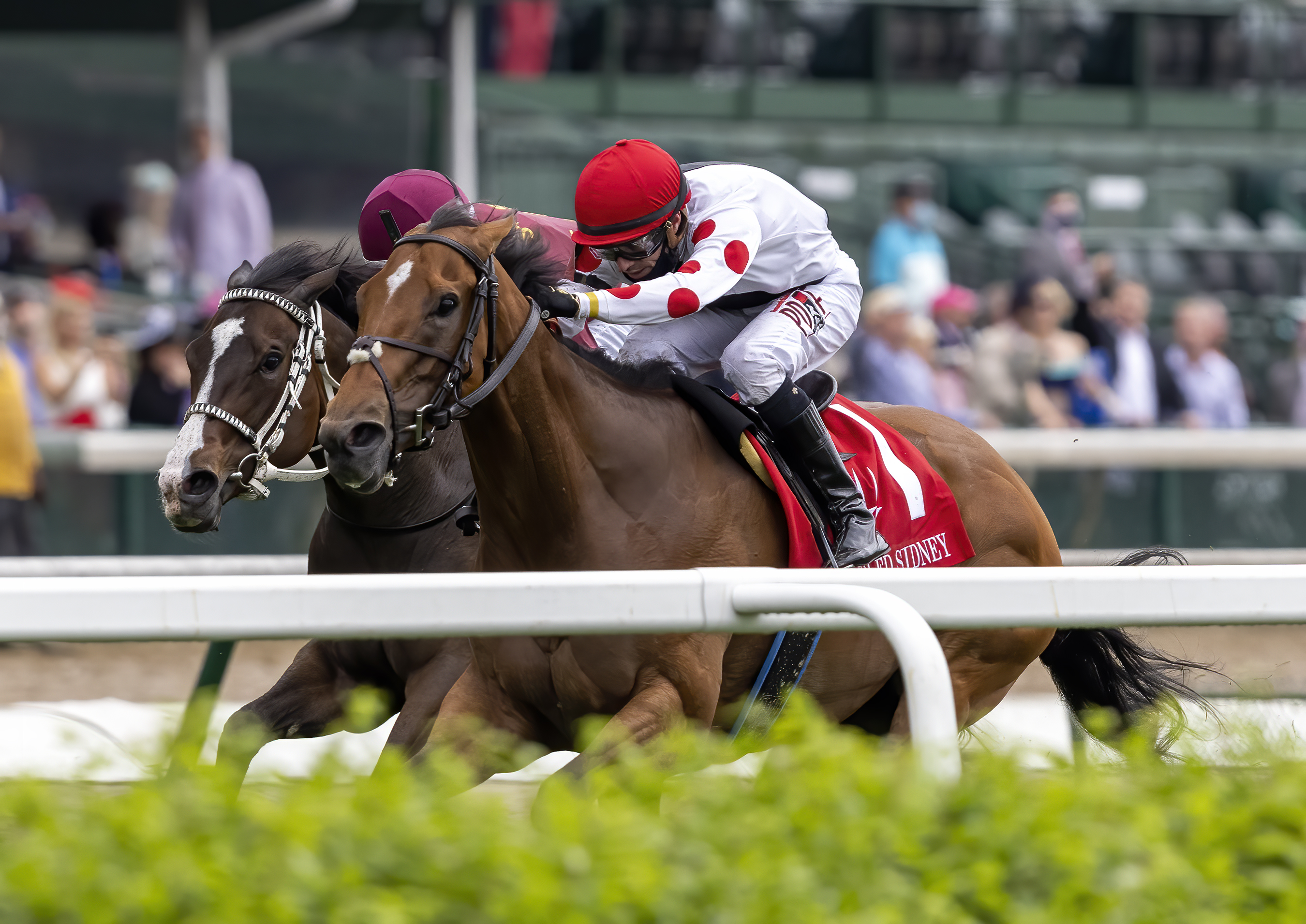 Into Mystic/Unbridled Sidney
