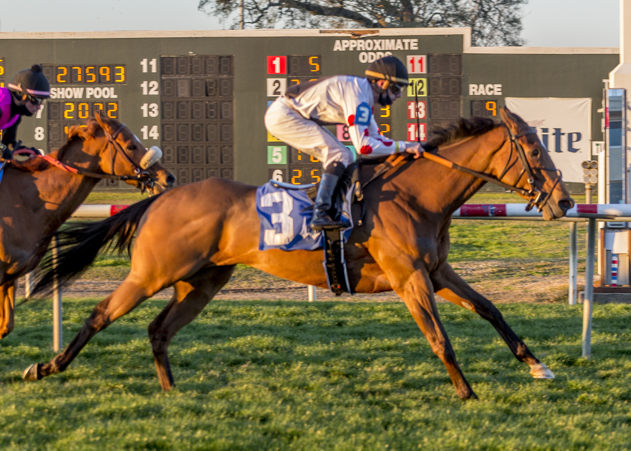 Into Mystic wins the Nelson Menard 1-9-2021