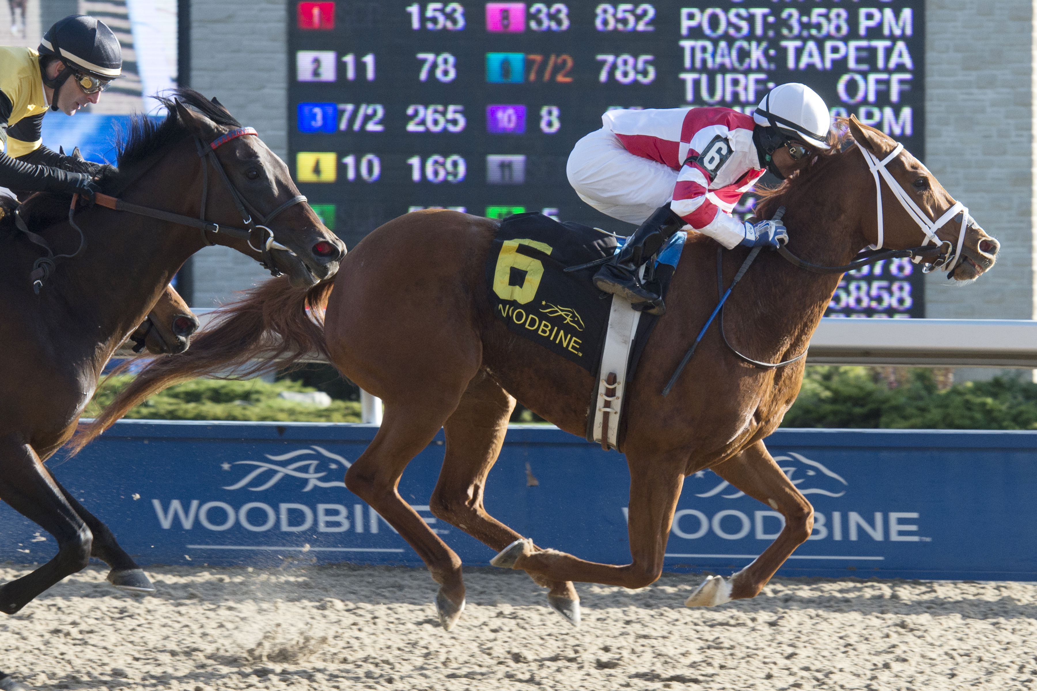 Into the Mystic wins the 2017 River Memories