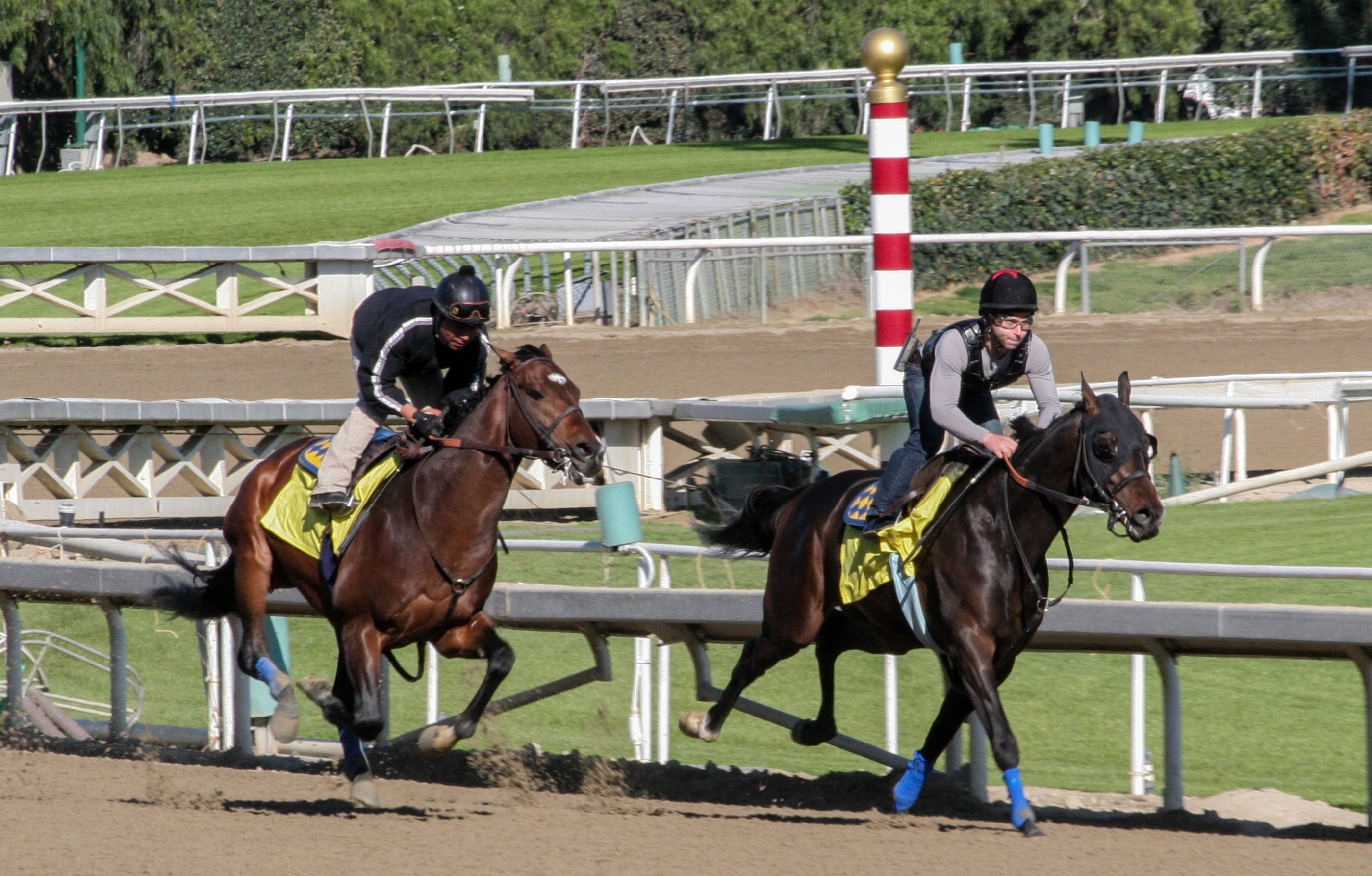 Paynter workout in company with Carving