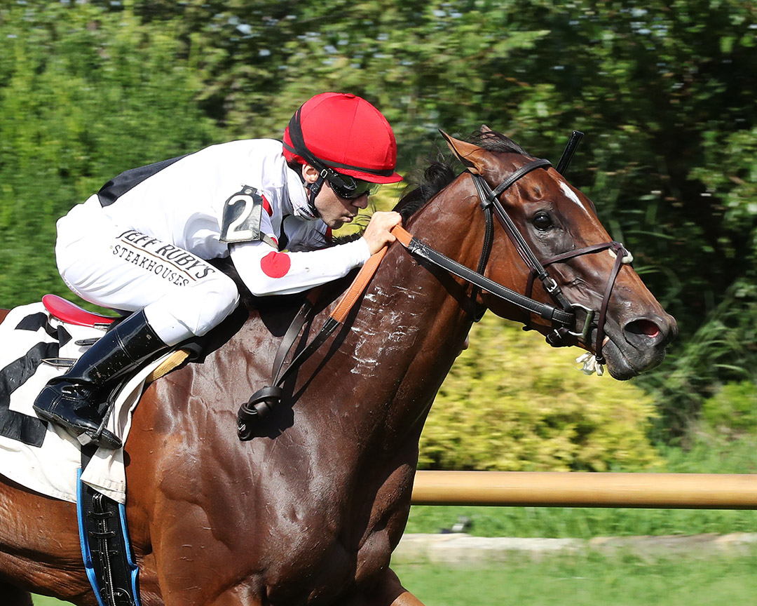Into Mystic wins the 2020 Kentucky Downs Preview Ladies Sprint at Ellis Park
