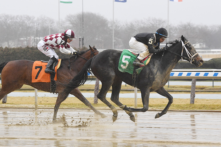 Intoxicologist wins a Jan. 5 maiden race