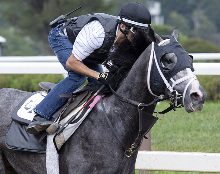 Intrepid Heart trains at Saratoga Race Course on July 19
