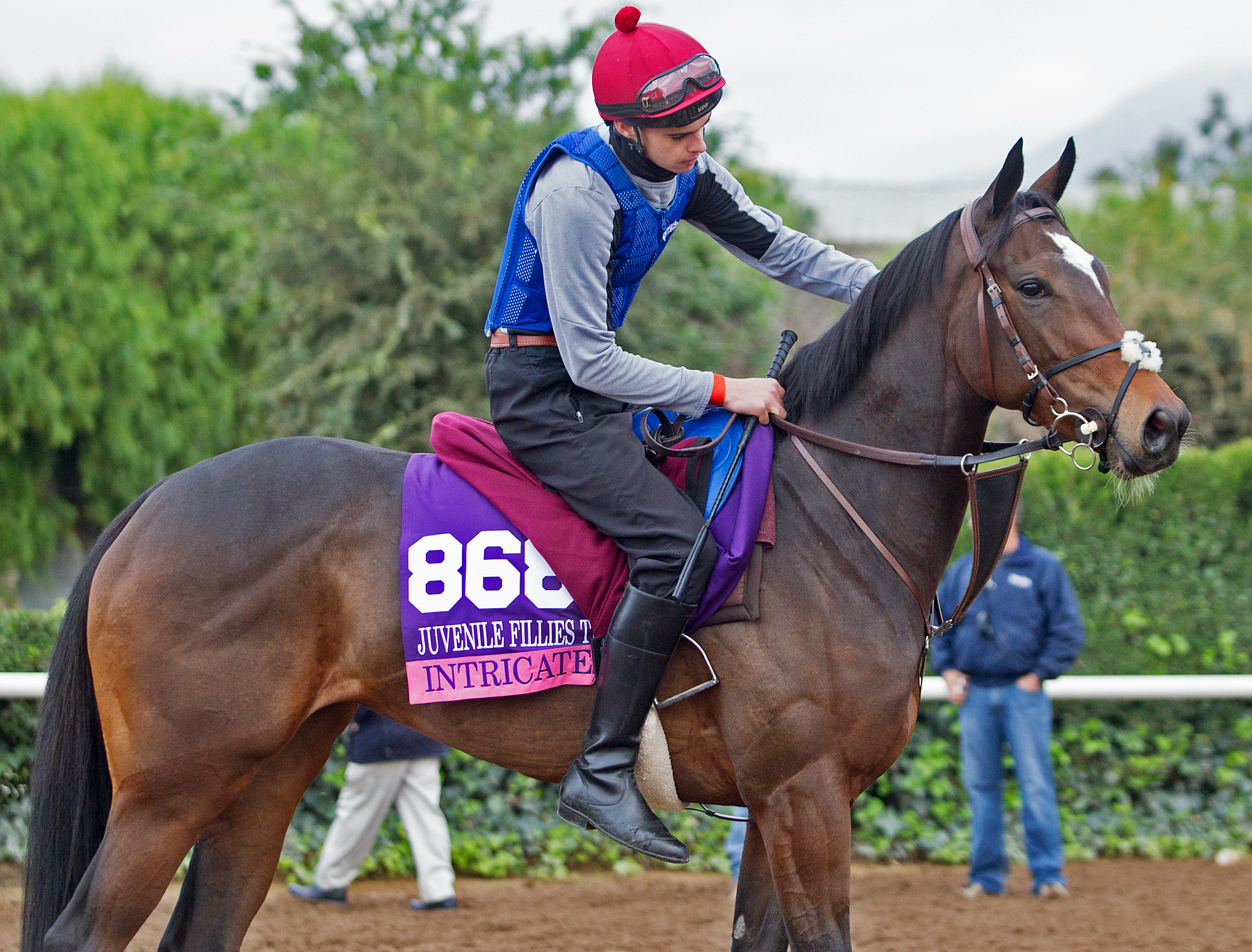 Intricately at Santa Anita on Nov. 1