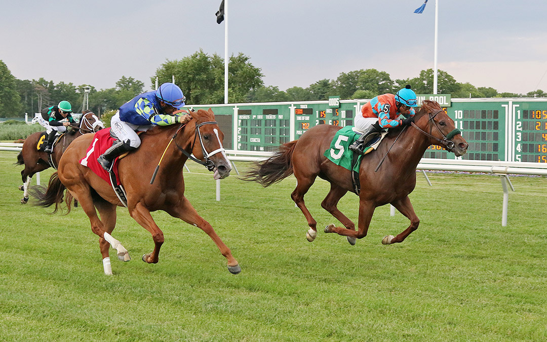 Miss Auramet (left) finishes second in a July 23 allowance at Monmouth Park