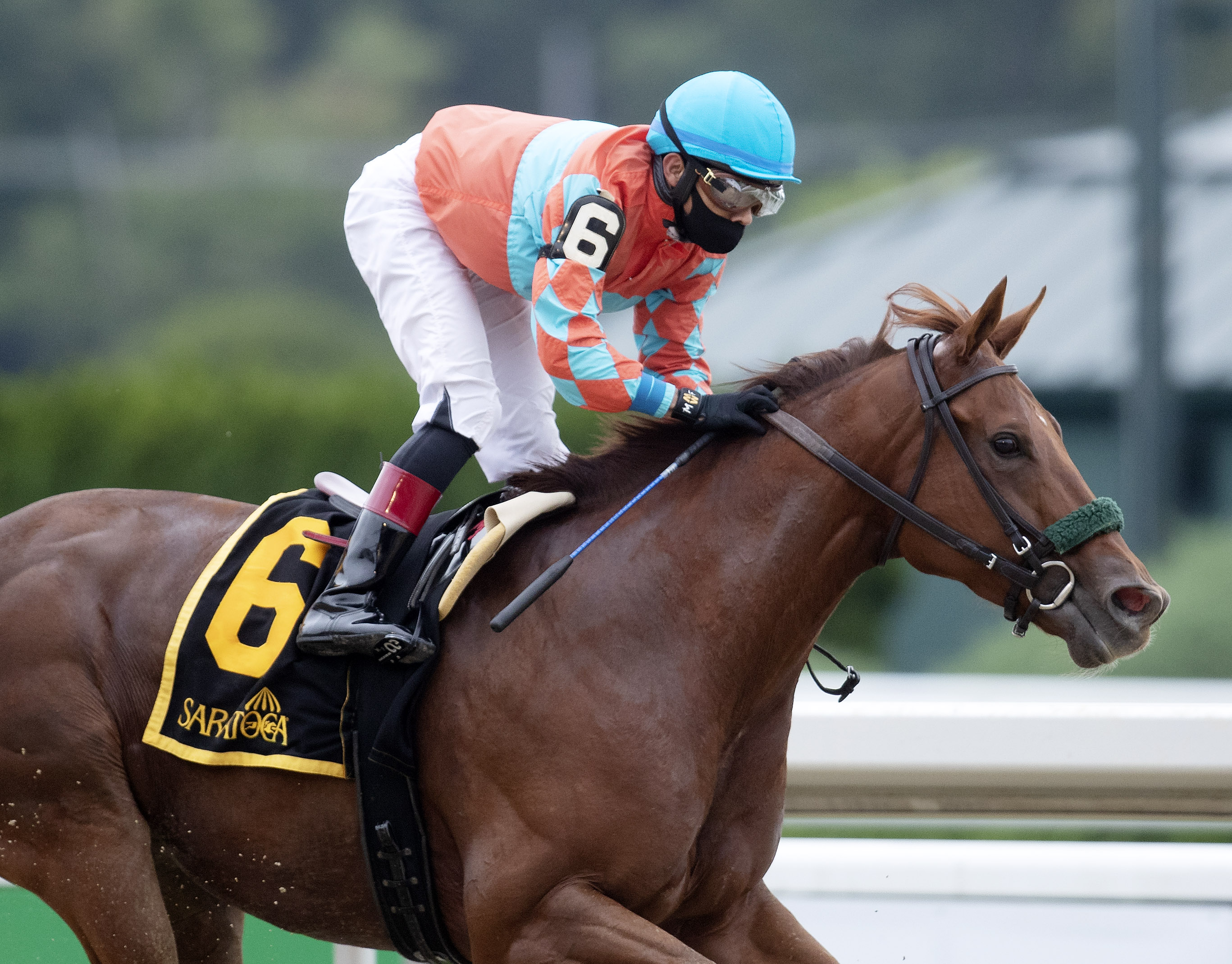 Introduced - Smart N Fancy Stakes