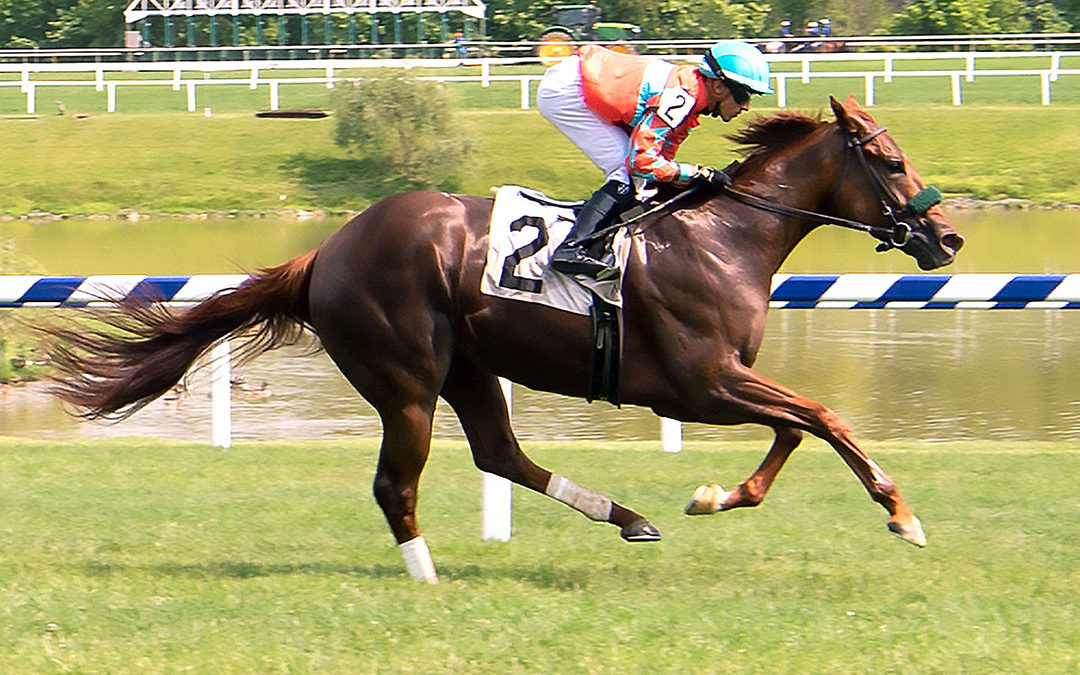 Introduced wins a June 1, 2019, allowance at Laurel Park