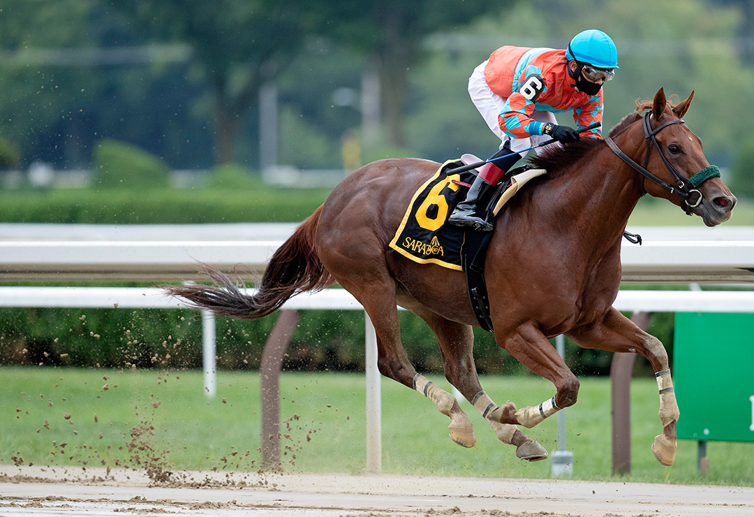 Introduced wins the Smart N Fancy Stakes at Saratoga Race Course